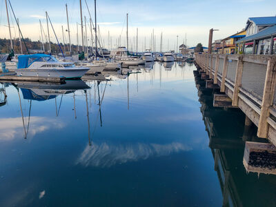 Marina reflections
